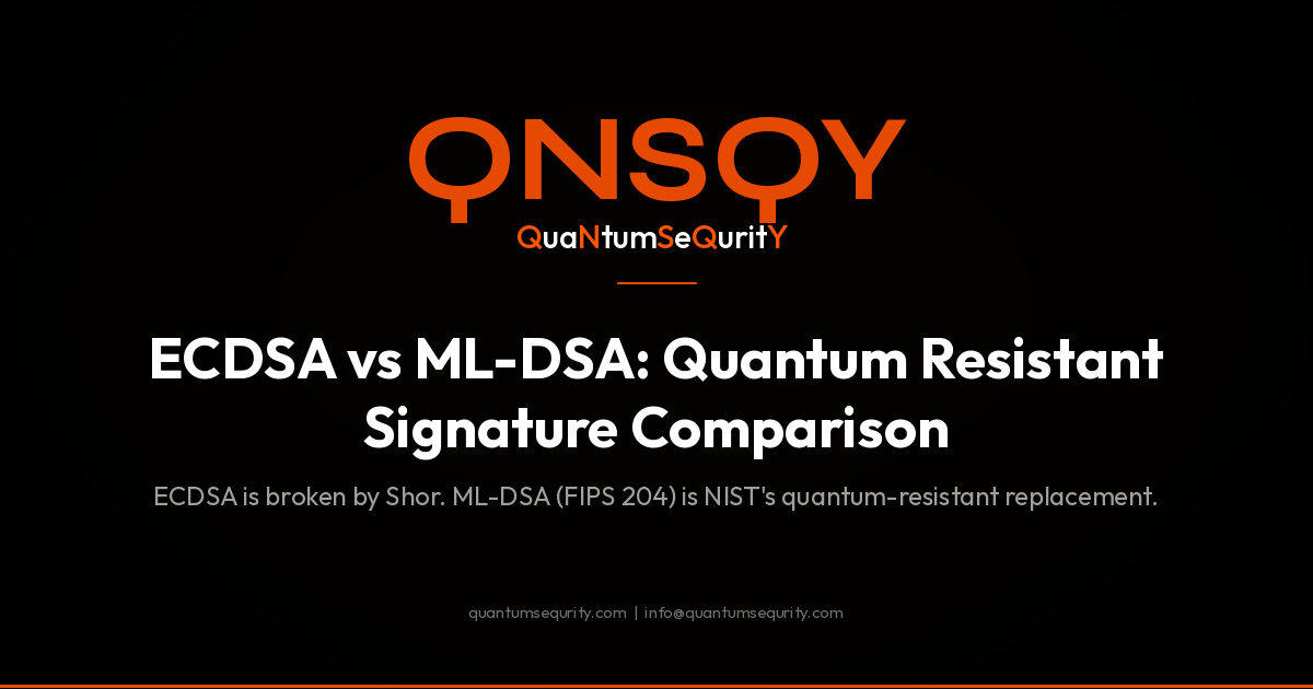 ECDSA vs ML-DSA: Quantum Resistant Signature Comparison - QNSQY post-quantum encryption guide